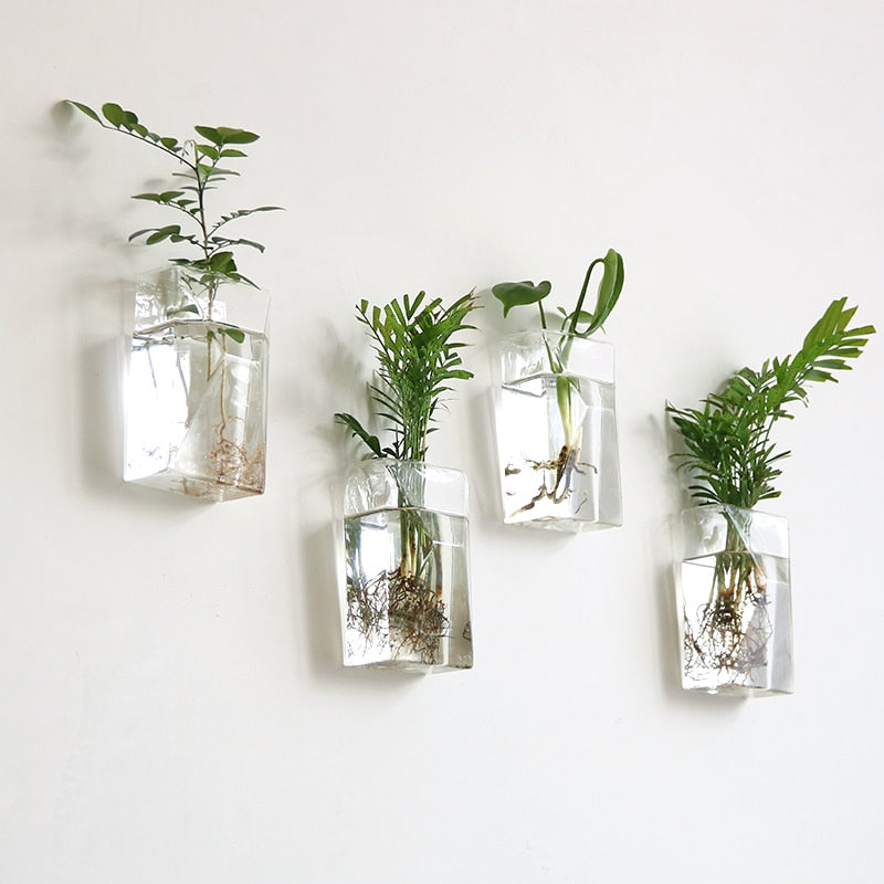 Clear wall hanging vase