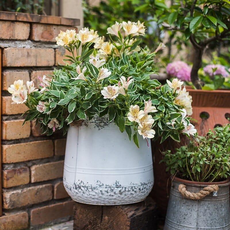Vintage style decorative pewter outdoor vase